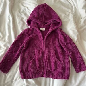 🌶️ 5 for $20: Hanna Andersson Hoodie